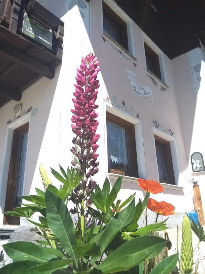 Baita Stella Alpina Livigno Exterior foto